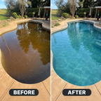 Swimming Pool Water Clarifier Liquid - Instant Water Cleaning | BUY 1 GET 1 FREE!