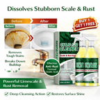 Oxalic-Acid Cleaner | Scale-Rust Expert | BUY 1 GET 1 FREE!